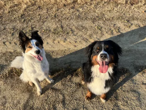 Sika et Avae