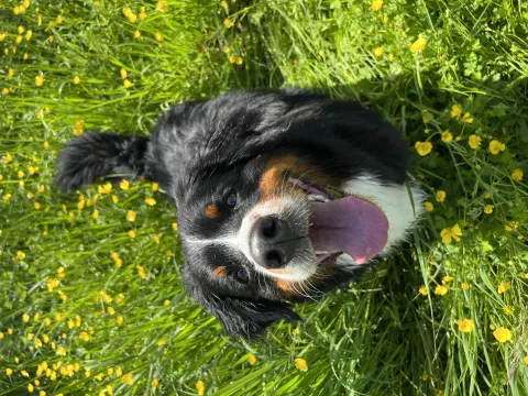 Ma beauté