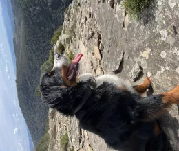 Avae en montagne
