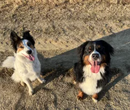 Sika et Avae